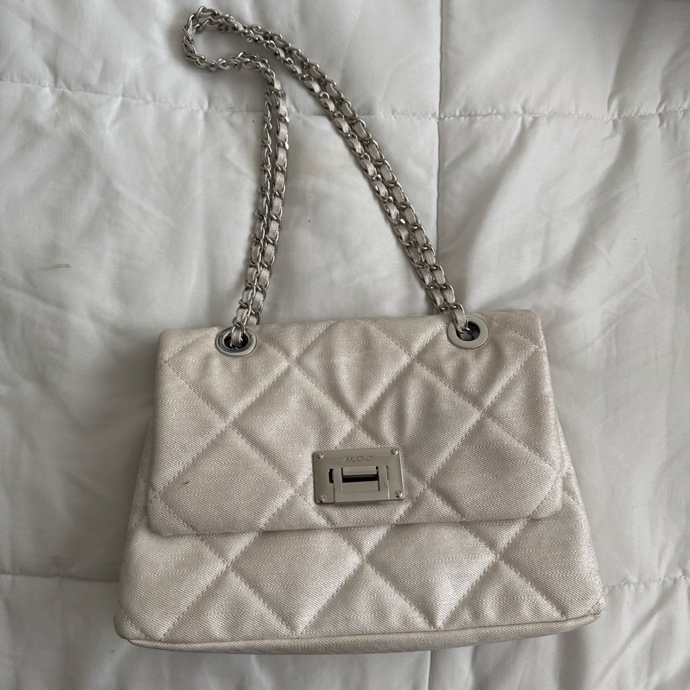 Aldo Silver Handbag Purse
